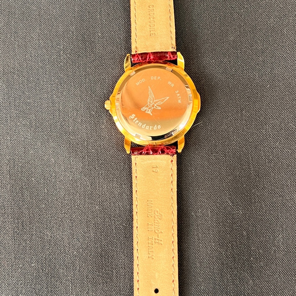 Stendardo Immersion Watch - Picture 8 of 10